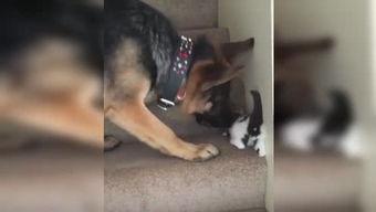 吐槽爆料寒哥的视频大全,笑料百出,真相大白 第3张 吐槽爆料寒哥的视频大全,笑料百出,真相大白 第3张