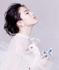 刘亦菲最新爆料视频,幕后故事与心路历程