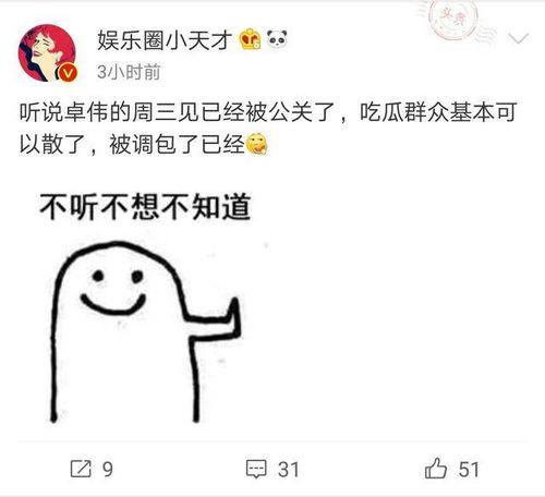 视频结尾爆料怎么弄好看,打造引人入胜的概述文章副标题技巧